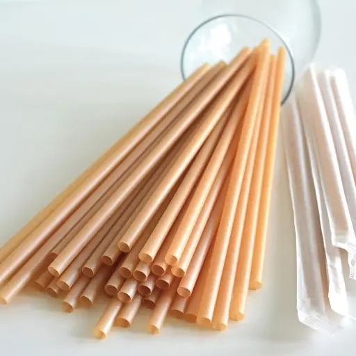 [BP3543621] BP3543621 甘蔗吸管 6mm*21cm 100隻/包