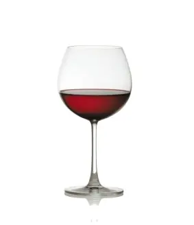 [BAD22] BAD22 麥德遜伯根地杯22oz 6入